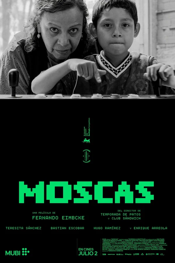 Мухи постер
